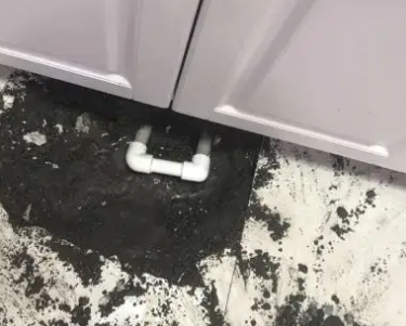 碾子山查漏水哪家好